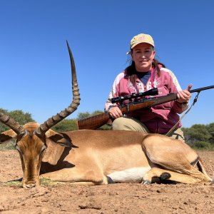 Impala Hunt Limpopo South Africa