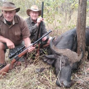 Buffalo Hunt Ngurungundu Zimbabwe