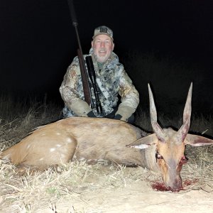 Bushbuck Hunt South Africa