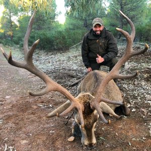 Red Stag Spain Hunt