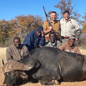 Buffalo Hunting Zimbabwe