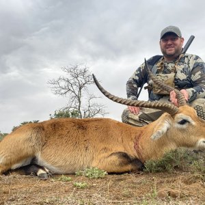 Lechwe Hunting South Africa