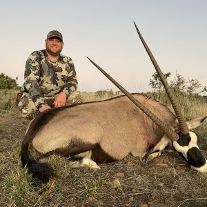 Gemsbuck Hunting South Africa