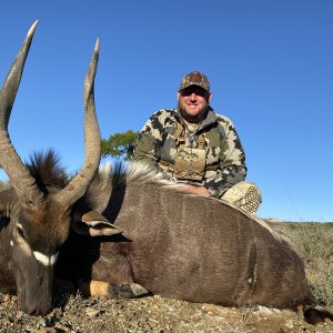 Nyala Hunting South Africa