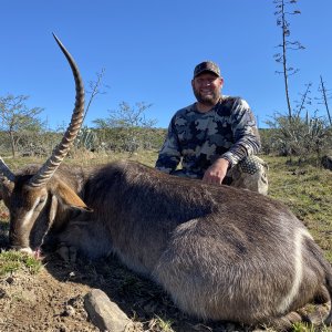 Waterbuck Hunting South Africa