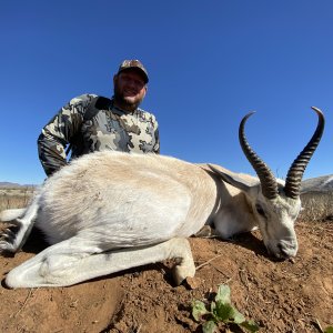 White Springbok Hunting South Africa