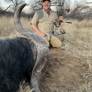 Buffalo Bow Hunting South Africa