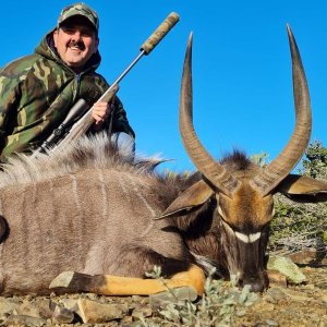 Nyala Hunting Eastern Cape South Africa