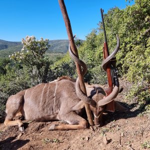 Kudu Hunt South Africa