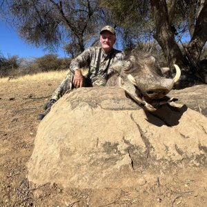 Warthog Hunt Namibia