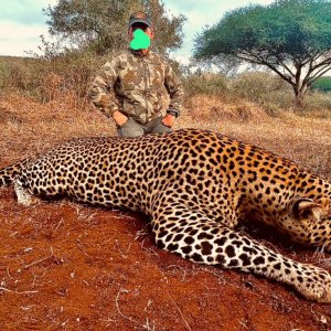 Leopard Hunt Tanzania