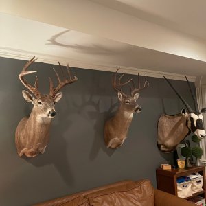 Trophy Room