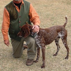 Hunting Partridge Argentina