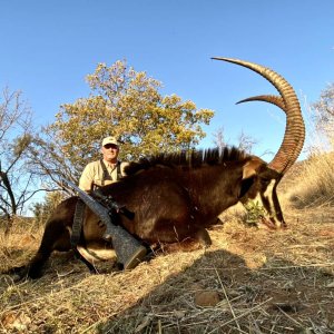 42.6 Inch Sable Hunt South Africa