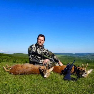 Roe Deer Hunting Romania