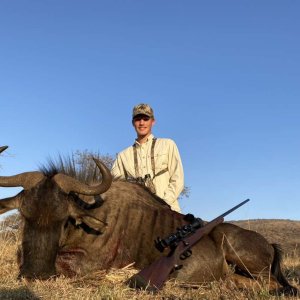 Blue Wildebeest Hunting South Africa