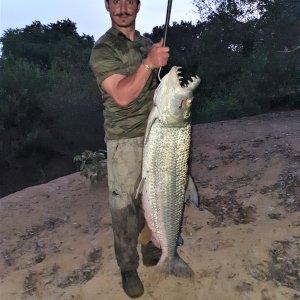 Goliath Tigerfish Fishing Central African Republic C.A.R