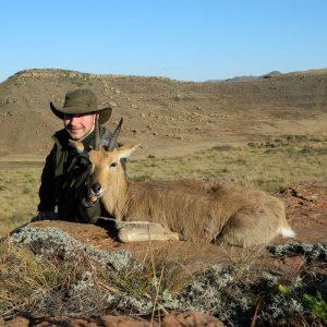 Old Mountain Reedbuck Second Regrowth