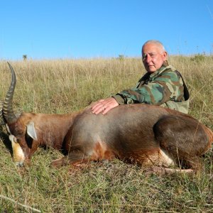 Hunting Blesbok Eastern Cape