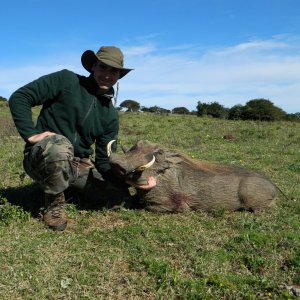 Warthog Eastern Cape