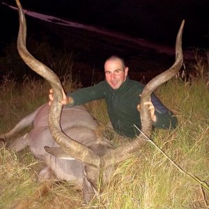 Stupendous Eastern Cape Kudu