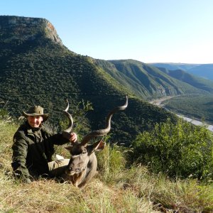 Kudu Like Green Hills Of Africa