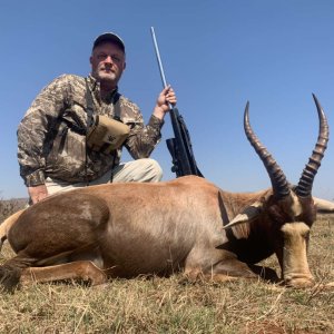 Blesbok Hunt South Africa