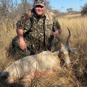 Blesbok Hunting