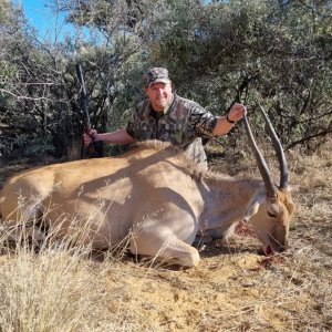 Eland Hunting