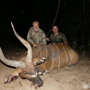 Bongo Hunting Central African Republic C.A.R