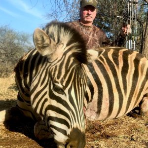 Zebra Bow Hunt South Africa