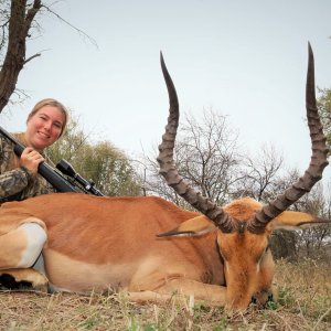 Impala Hunt South Africa