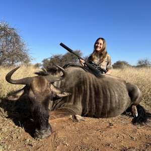 Blue Wildebeest Hunt South Africa