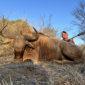 Golden Wildebeest Hunt South Africa