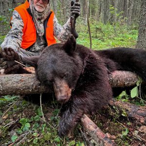 Black Bear Hunting