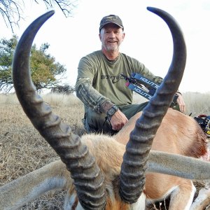 Springbok Bow Hunt South Africa