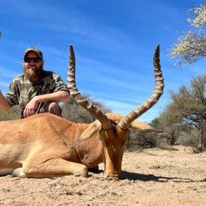 Impala Hunting South Africa