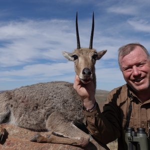 Vaal Rhebok Hunt Sneeuberg South Africa