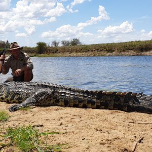 Crocodile Hunt Caprivi Namibia