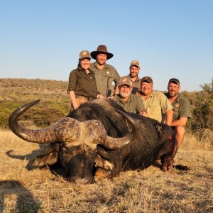 Buffalo Hunting South Africa