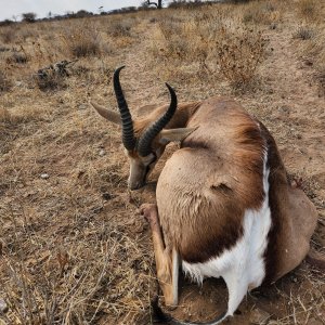 Springbok Bow Hunt Namibia