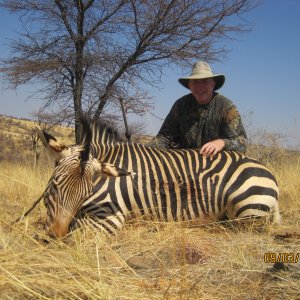 Zebra Hunt Namibia