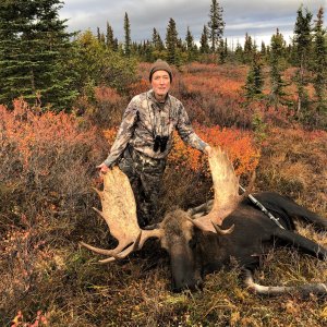 55 Inch Moose Hunt Alaska