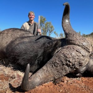 Hunting Buffalo South Africa