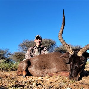 Black Impala Hunt South Africa