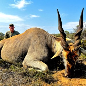 Eland Hunting South Africa