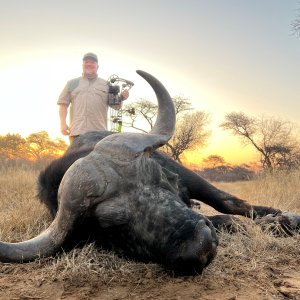 Buffalo Bow Hunt