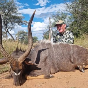 Nyala Hunting South Africa