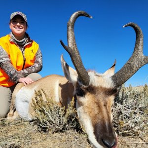 Pronghorn Hunt  Wyoming