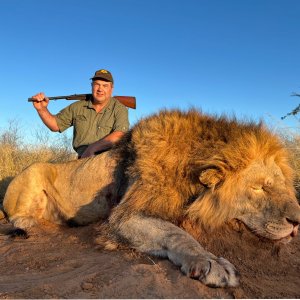 Lion Hunting South Africa